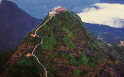 Adams' Peak