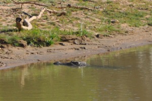 Yala Sri Lanka